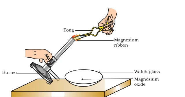 Burning of a magnesium ribbon in air and collection of magnesium oxide in a watch-glass.