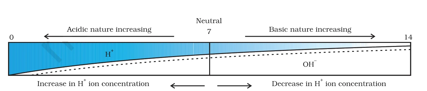 Variation of pH with the change in concentration of $\text{H}^+(\text{aq})$ and $\text{OH}^-(\text{aq})$ ions.