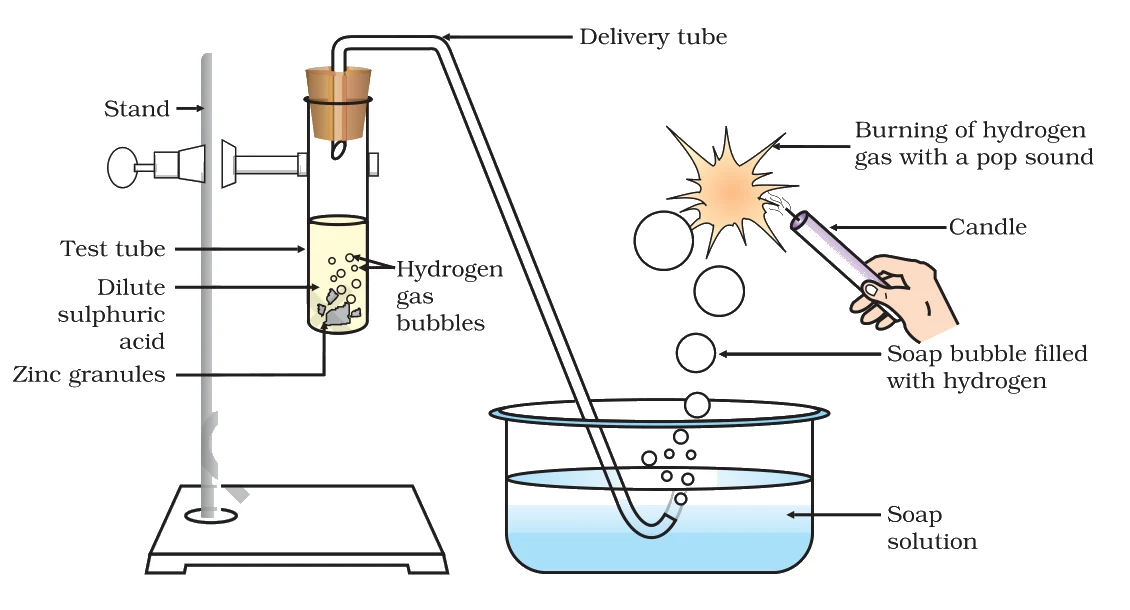 Reaction of zinc granules with dilute sulphuric acid and testing hydrogen gas by burning.