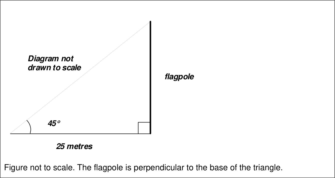 Figure from the question paper for: A flagpole casts its shadow that is 25 m long on the ground. The angle made by the tip of