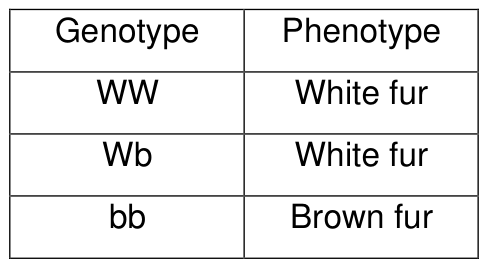 Figure from the question paper for: A species of mammal has two phenotypes, white fur and brown fur. Table 1 shows the parent