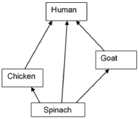 Figure from the question paper for: A food web is shown. Which food chain from this web has the most efficient transfer of ene