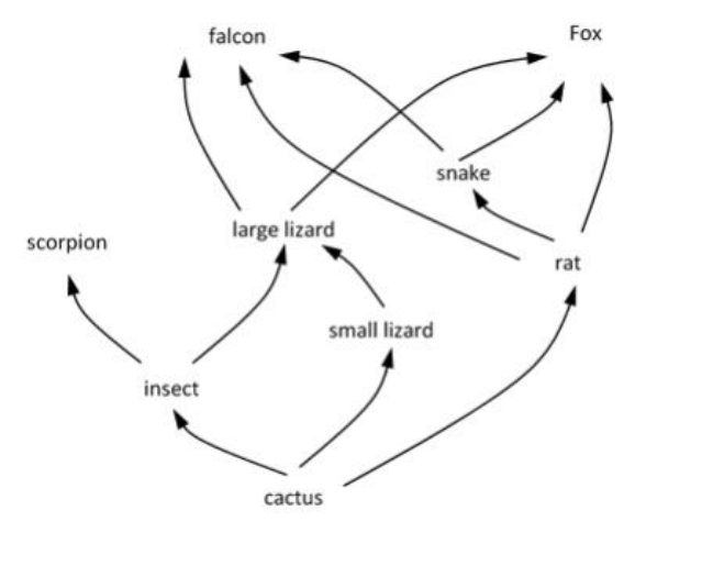 Figure from the question paper for: Discuss the impact of pesticides on the desert food web shown in Fig. 1.